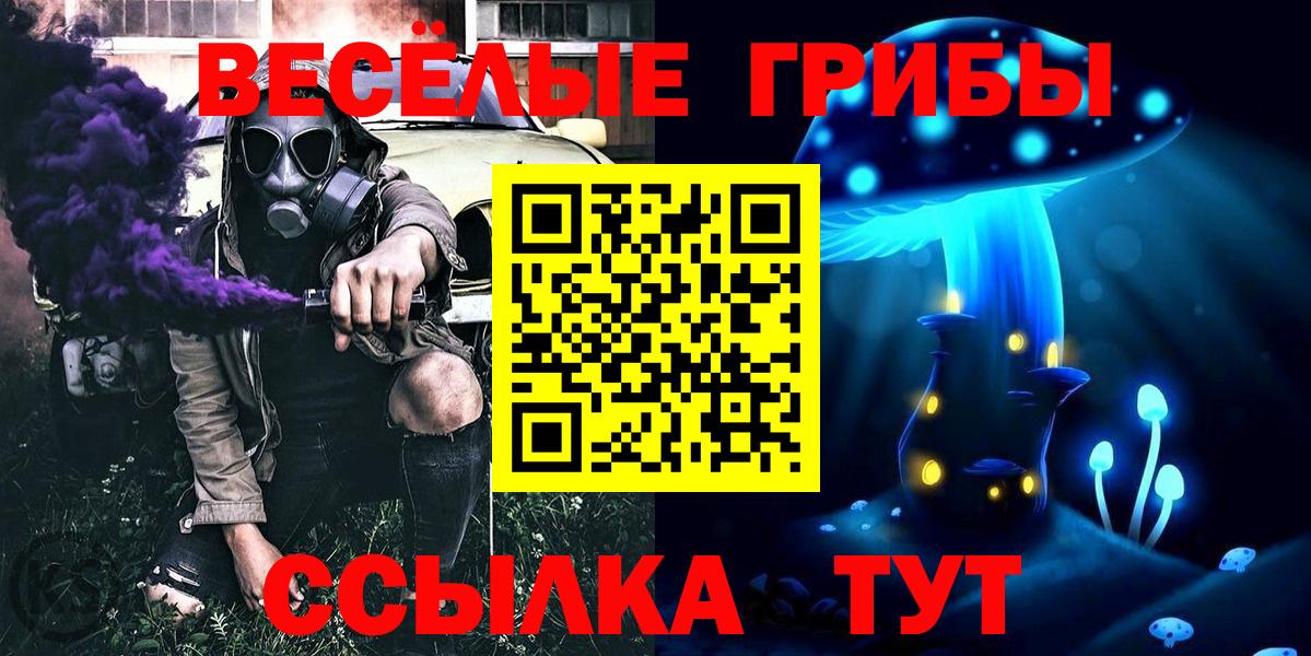 Щёкино  купить наркотики цена  Галлюциногенные грибы MAGIC MUSHROOMS  Вход с VPN  Псилоцибиновые грибы мухоморы 